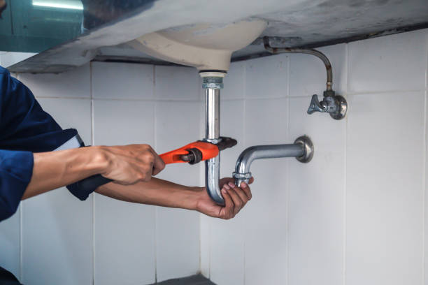 Best Local Plumber Services  in Travelers Rest, SC